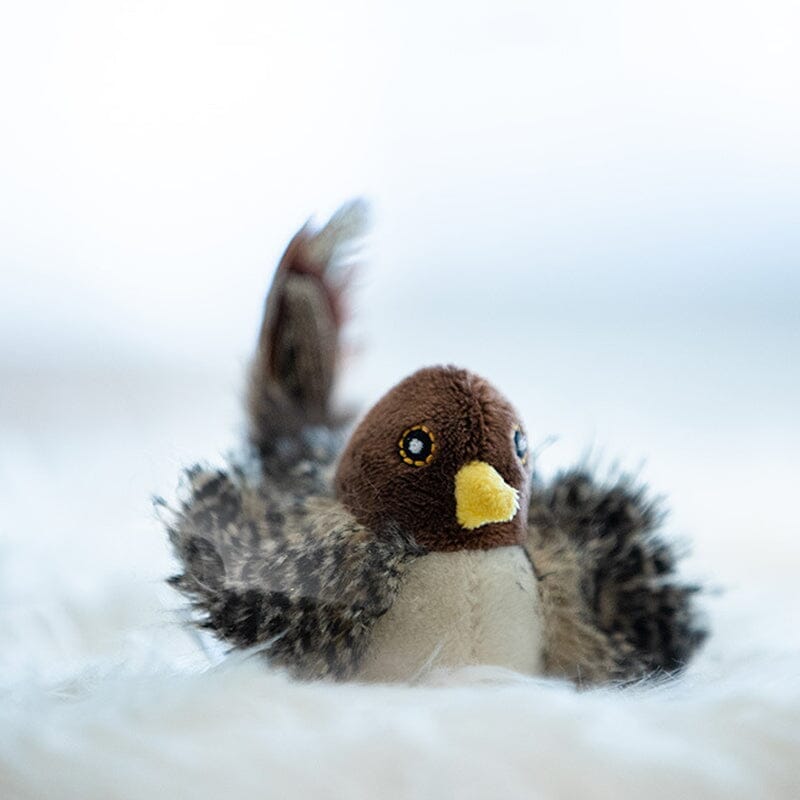 Fun Feather Teaser Toy