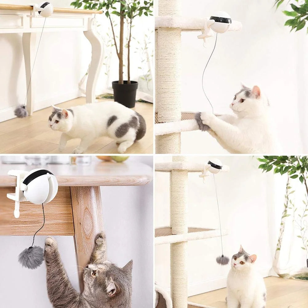 Fun Cat Toy with Auto Feather Teaser