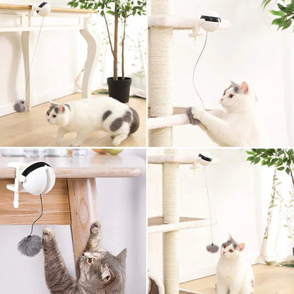 Fun Cat Toy with Auto Feather Teaser