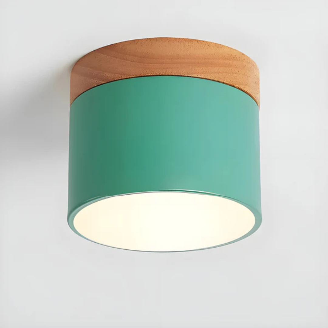 Classic Retro Style LED Light Fixture