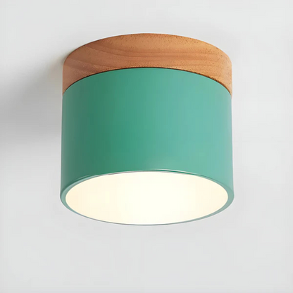 Classic Retro Style LED Light Fixture