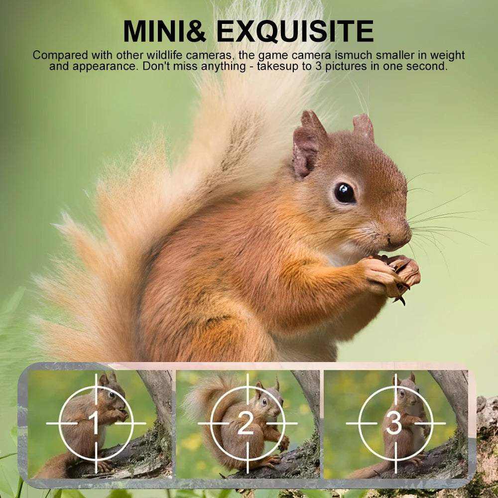 Small Animal Trail Camera with HD Night Vision