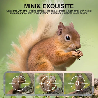 Small Animal Trail Camera with HD Night Vision