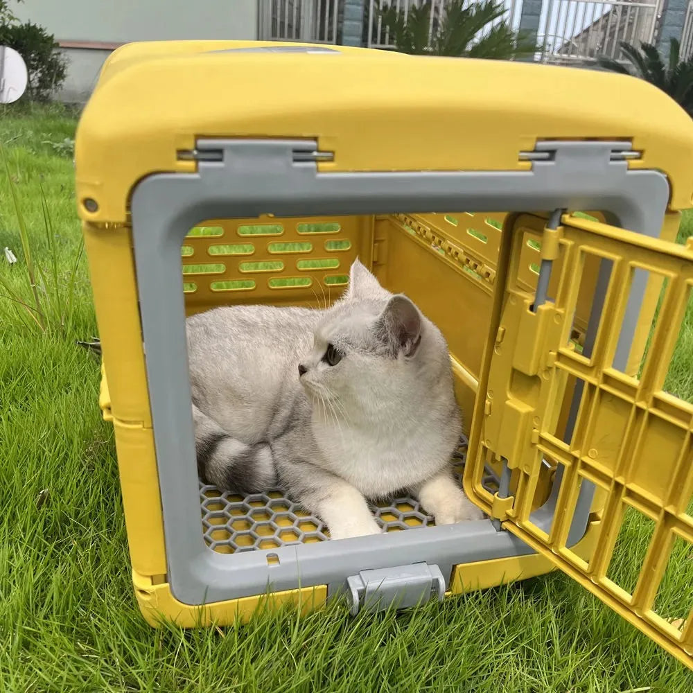Portable Collapsible Pet Carrier Box