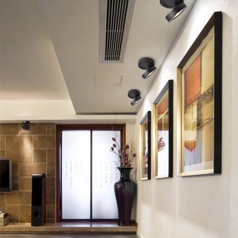 Modern Metal Ceiling Spot Light