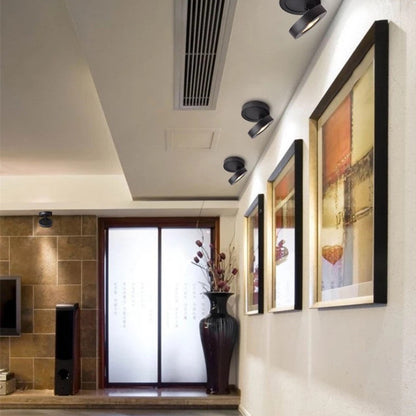 Modern Metal Ceiling Spot Light