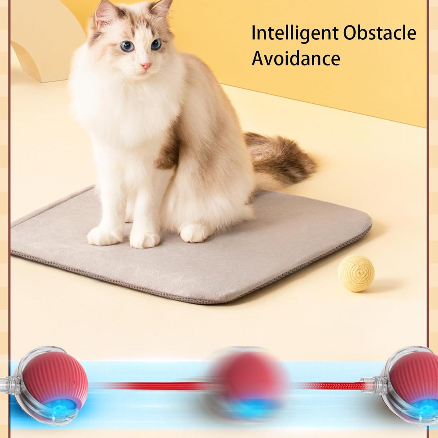 Fun Interactive Pet Ball Set