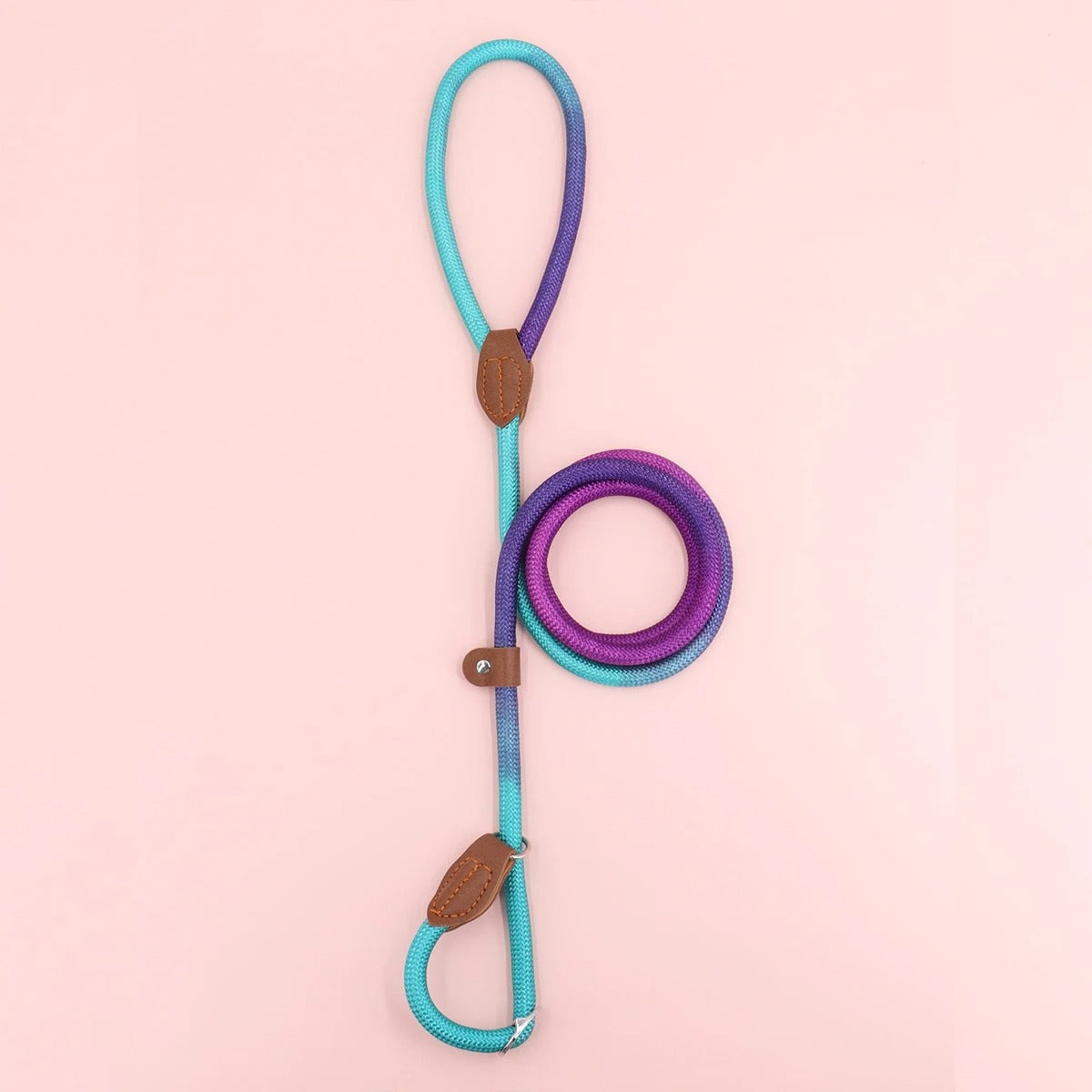 Vibrant Pet Leash for Stylish Dog Walking
