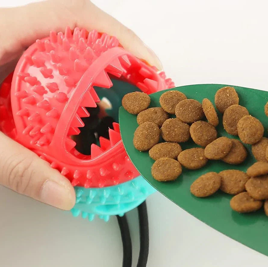 Tough Rubber Dog Toy - PowerPaw Befez