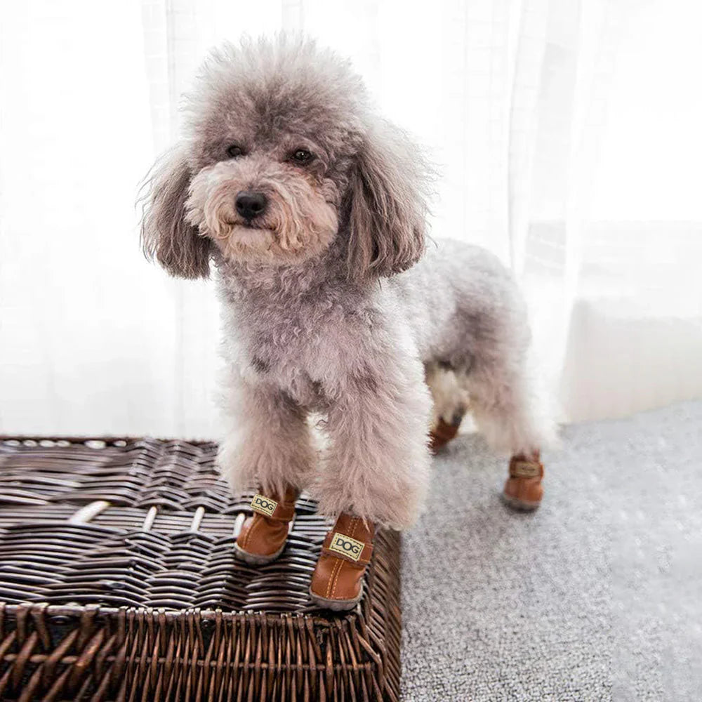 Cozy Winter Dog Boots – FrostPaw