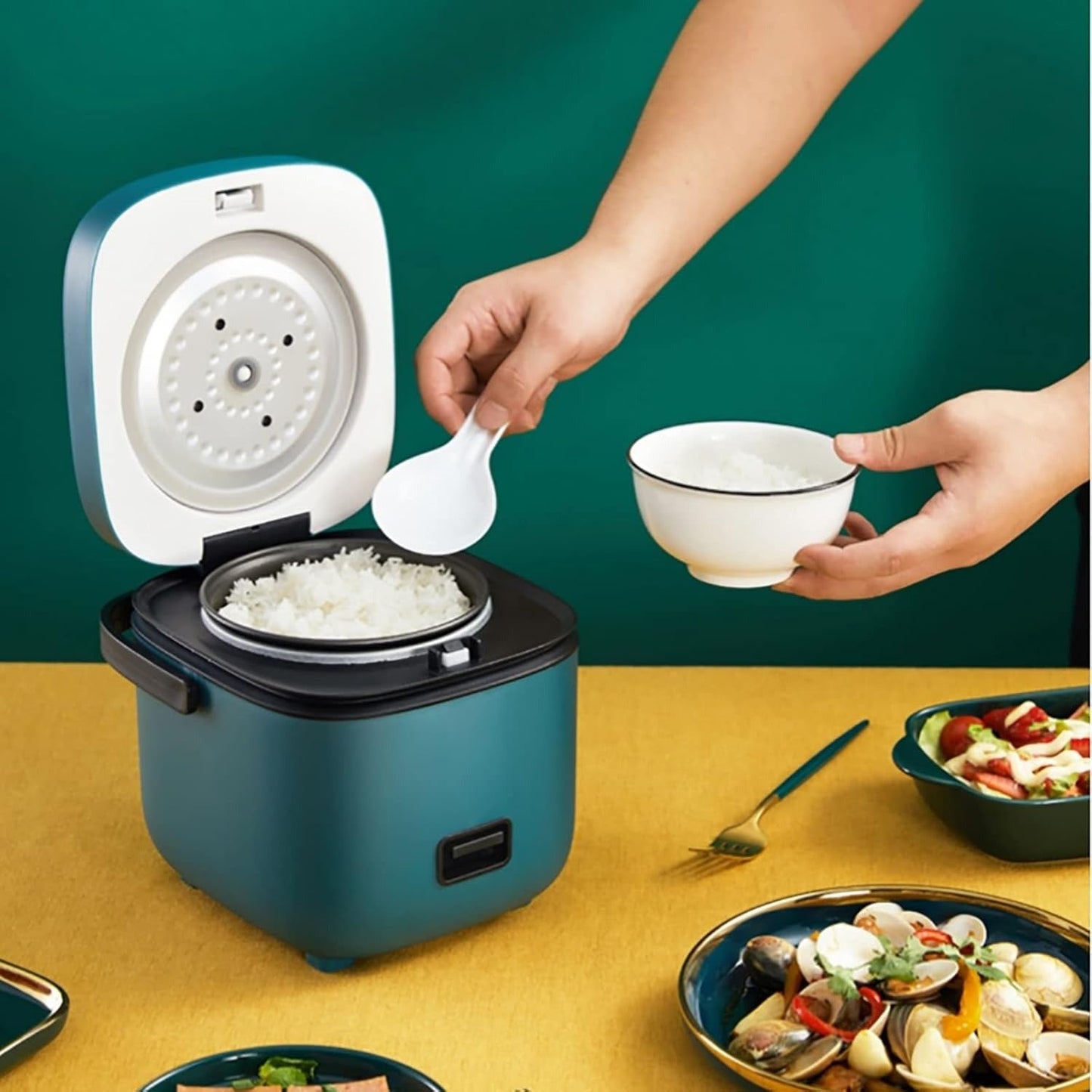 Small Electric Rice Cooker with Steam Function