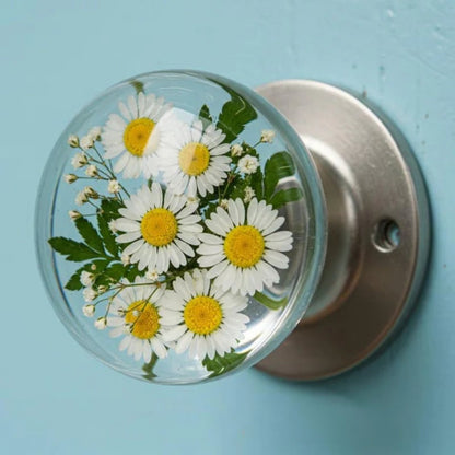 Stylish Door Knobs with Glow Effect