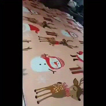 Cozy Holiday Soft Plush Christmas Blanket