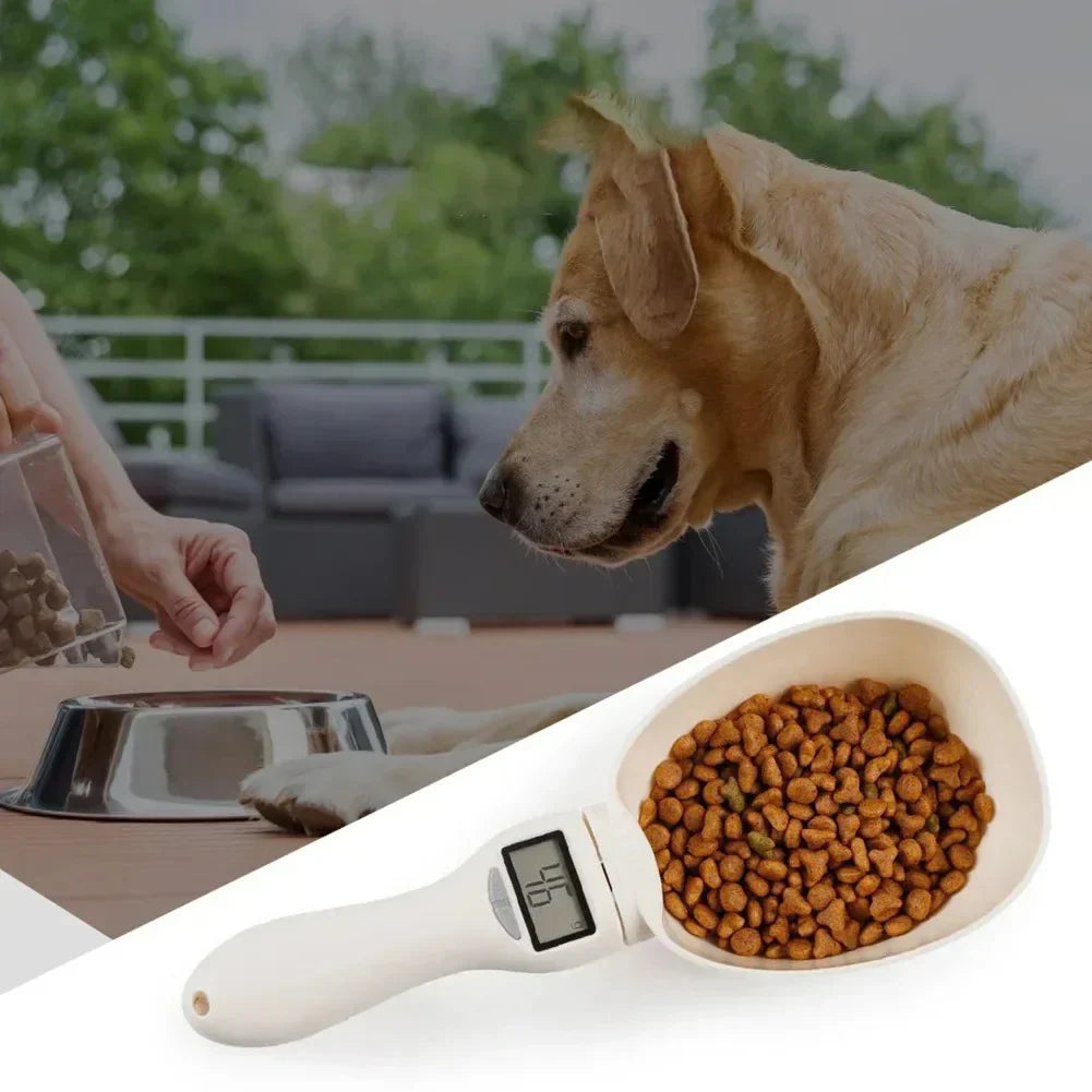 Accurate Digital Measuring Spoon – Easy Food Portion Control - Befez