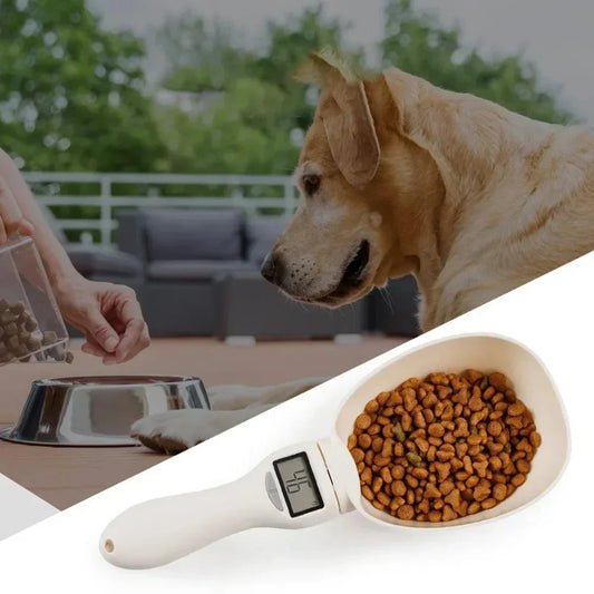 Accurate Digital Measuring Spoon – Easy Food Portion Control - Befez