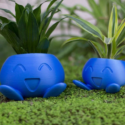 Colorful Planter Box for Happy Plants