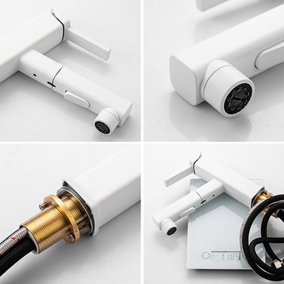 Befez | Easy Turn Faucet Pull-Out Kitchen Sink Tap