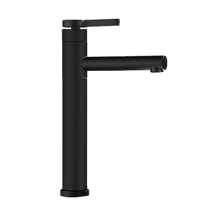 Modern Faucet with Lever Handle and Rotating Spout