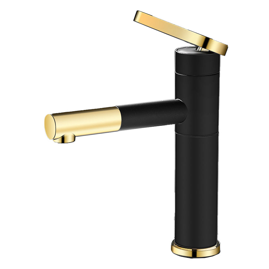 Modern Faucet with Lever Handle and Rotating Spout