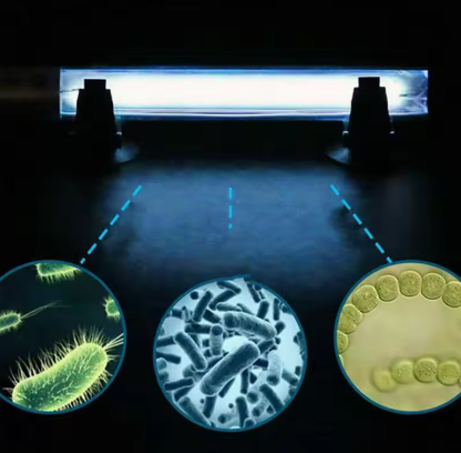 Compact Portable UV Sanitizer Light for Home Office