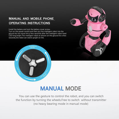 Fun Remote Control Balance Robot Toy
