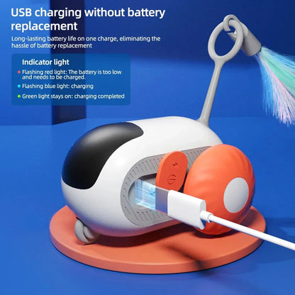 Interactive Fun Cat Laser Toy
