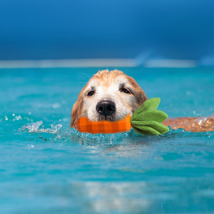 Healthy Natural Rubber Dog Chew Toy