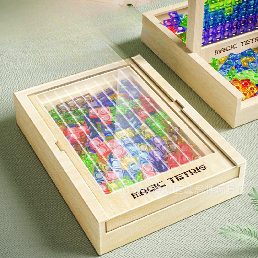 Classic Wooden Puzzle Game