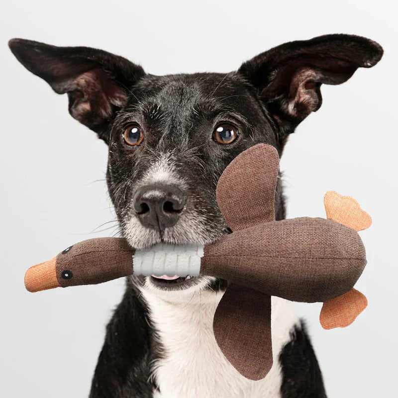 Buy 1 Get 1 Free Dog Toys Set