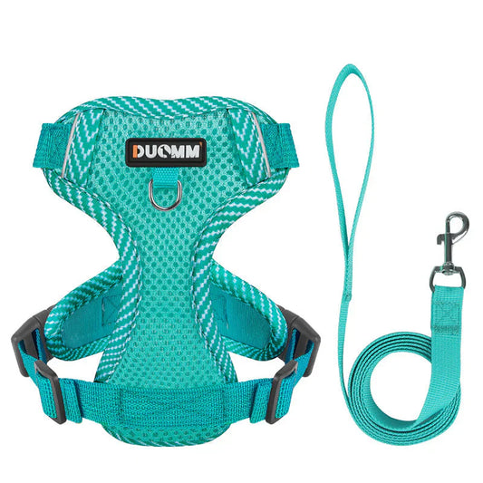 Visible Puppy Harness and Lead Set for Little Dogs - Befez
