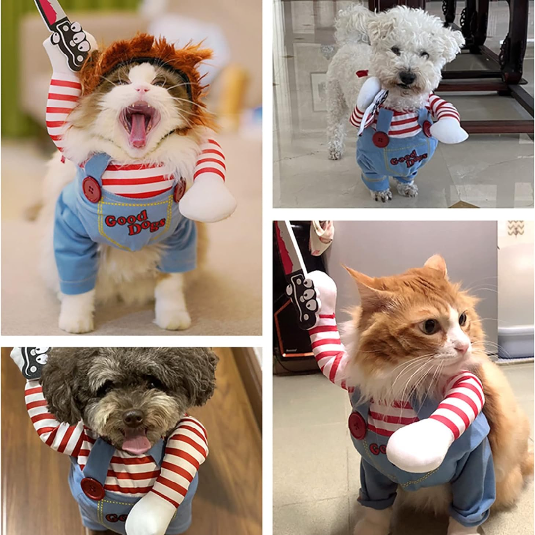 Funny Pet Halloween Outfit