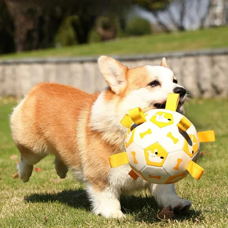 Fun Dog Rope Ball Interactive Toy