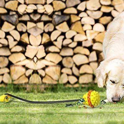 Fun Pet Rope Ball Toy