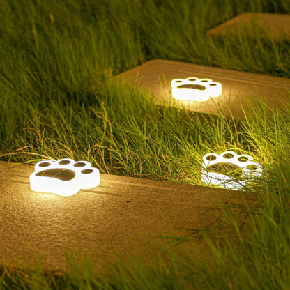 Eco Friendly Garden Solar Light