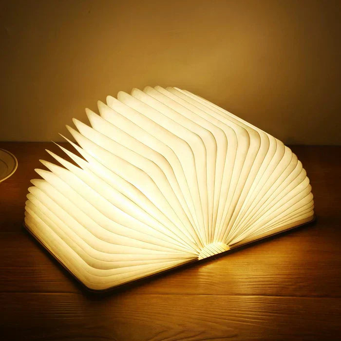 Compact LED Reading Lamp with Flexible Arm