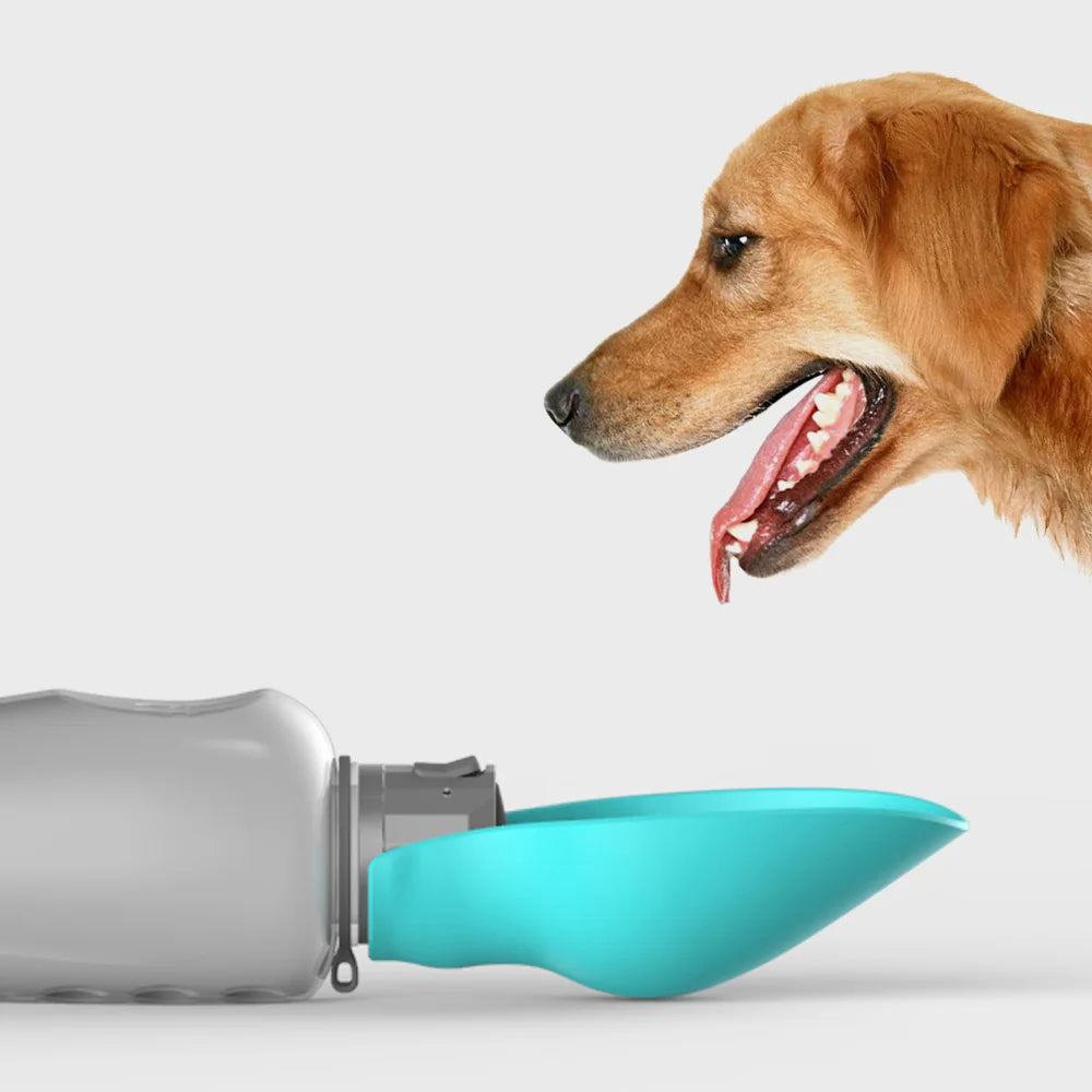 Compact Pet Travel Water Bottle - Befez