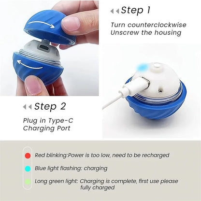 Fun Bouncy Dog Toy Ball