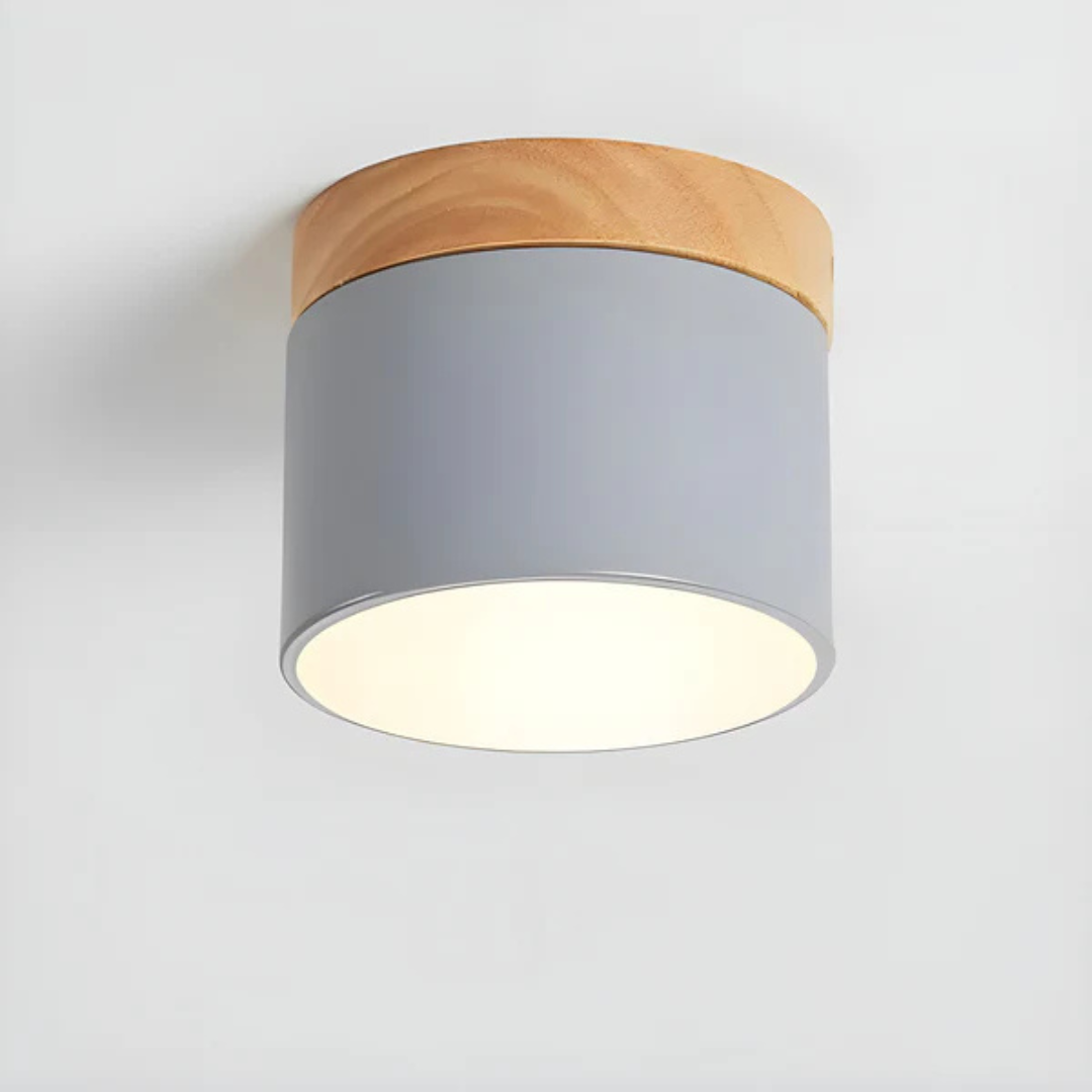 Classic Retro Style LED Light Fixture
