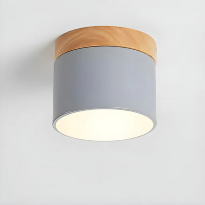 Classic Retro Style LED Light Fixture
