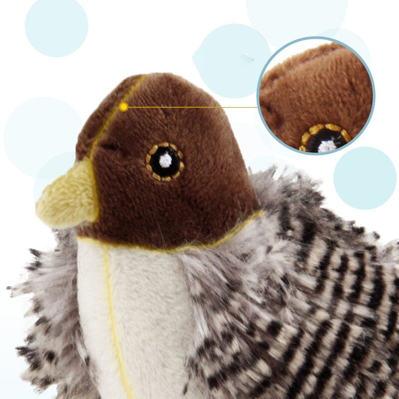 Fun Feather Teaser Toy