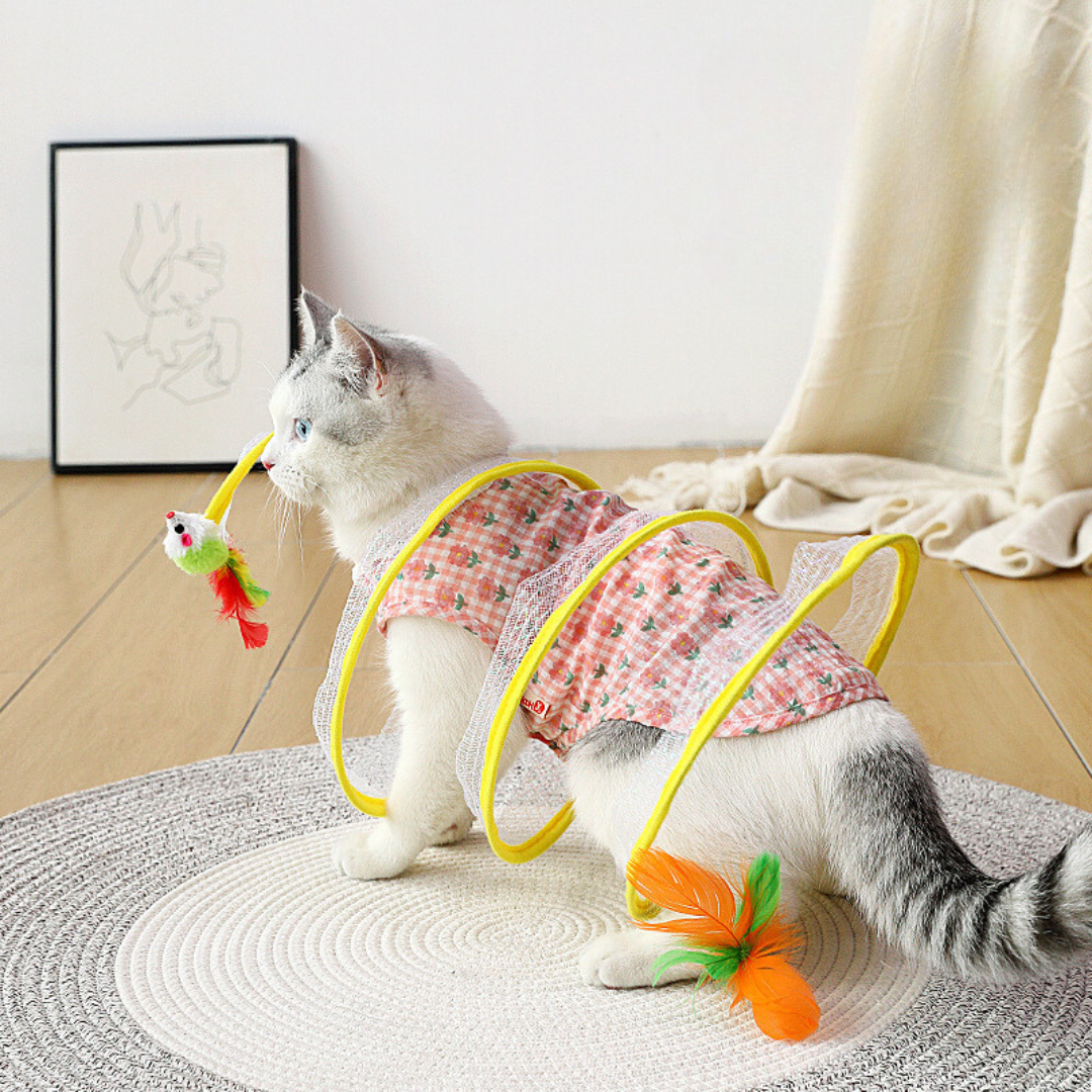 Fun Cat Spiral Play Toy - Befez