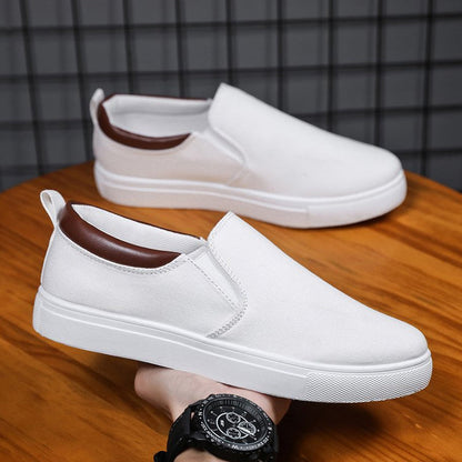 Casual Canvas Mens Slip On Shoes