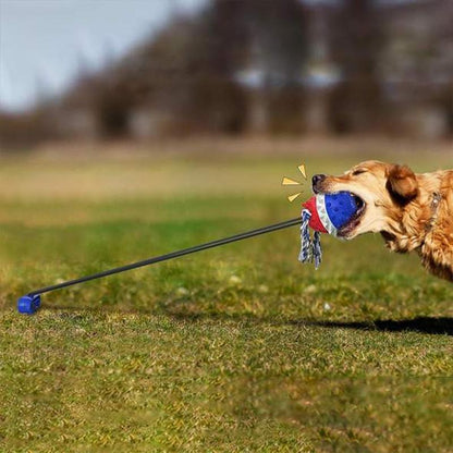 Fun Pet Rope Ball Toy