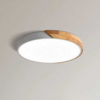 Modern Nordic LED Ceiling Light