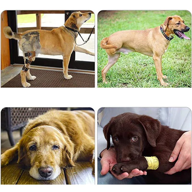 Supportive Dog Leg Brace Strap