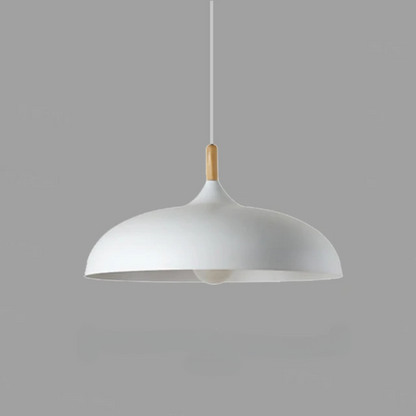 Stylish Pendant Light for Dining Room Table