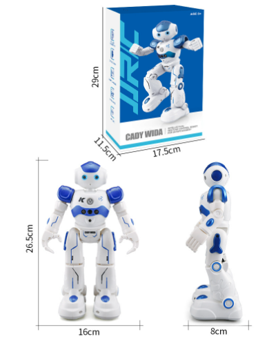 Smart RC Robot Toy