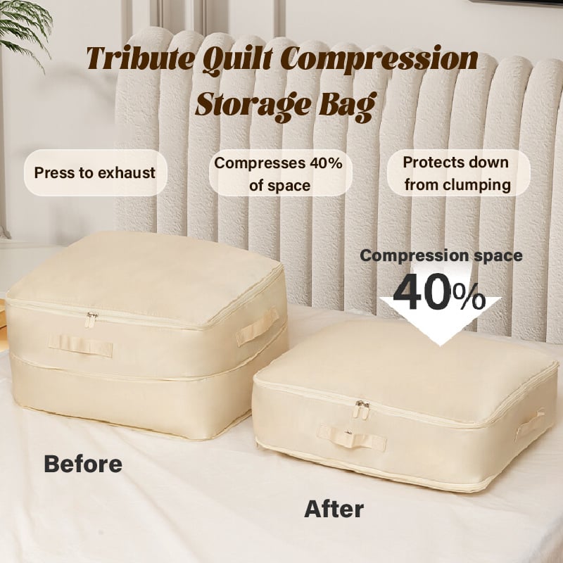 Compact Storage Organizer Box