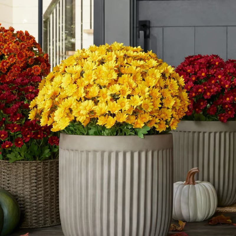 Vibrant Fall Garden Planter