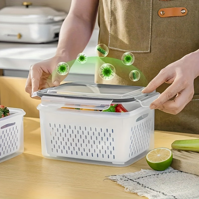 Reusable Plastic Food Containers Set of 4 - Befez